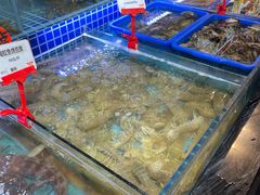 水产区-必点海鲜·鲅鱼水饺(鞍山西道店)