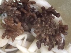 -宴武夷·匠心闽味(印象大红袍店)