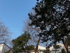 -河坊街景区