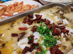 -五谷芳乳鸽王（大梅沙总店C区）(网红打卡店)