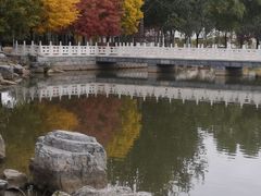 -东升八家郊野公园