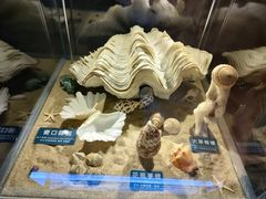-梦幻海洋王国(吾悦广场张家港店)