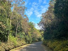 -上海海湾国家森林公园