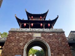 -深圳仙湖植物园-停车场