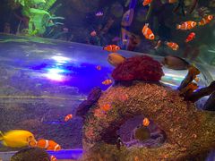 -沈阳海洋探索中心