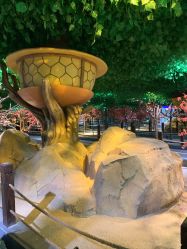 -酷嗒动物文化乐园(cutezoo西溪乐天城店)