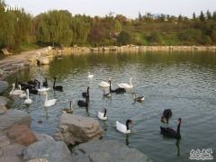 -西安秦岭野生动物园