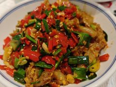 -壹盏灯(惠农店)