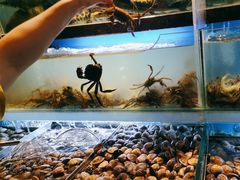 -喜庭海鲜自助(来福士店)