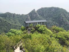 -大岭沟猕猴桃谷风景区