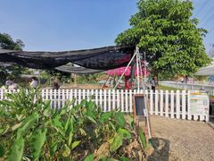 -长洲岛都市农业公园