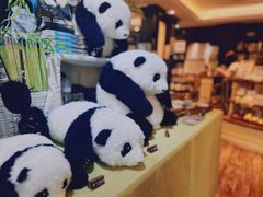 -轩客会(熊猫书店)