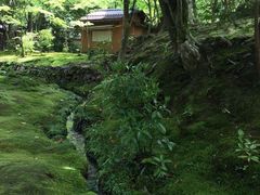 -西芳寺(苔寺)
