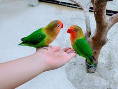 -上海大自然野生昆虫馆