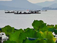 -湖畔居茶楼(湖滨店)