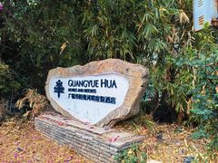 -广悦华阳朔河畔度假酒店(十里画廊遇龙河店)