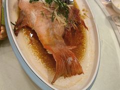 -金玛国宾酒店-自助西餐厅