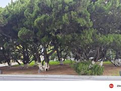 -旅顺博物馆
