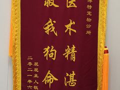 -博特宠物医院24h犬猫全科.骨科·异宠