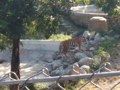 -石家庄市动物园