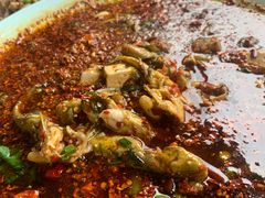 -胖大姐黄辣丁鱼庄(新津店)