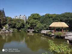 -江湾体育中心游泳馆