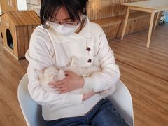 -猫的茶·猫咖