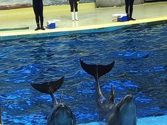 -福州罗源湾海洋世界旅游区