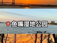 -鱼嘴湿地公园