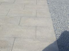 -北京植物园-展览温室