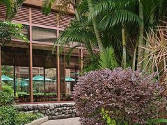 -雨林餐厅(长隆海洋王国店)