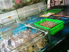 -马王堆海鲜水产市场