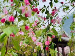 -海棠花溪(元大都城垣遗址公园)