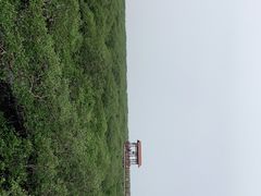 -北海金海湾红树林生态旅游区