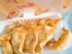 向群锅饺-向群锅饺(登高路店)