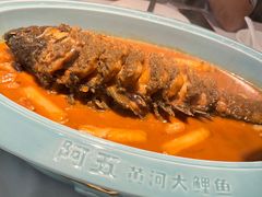 -阿五黄河大鲤鱼(纬三路店)