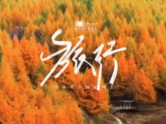 -苏木山森林公园