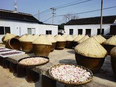 -苏州市吴中区光福窑上花果蜜饯厂