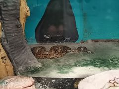 -新疆天山野生动物园