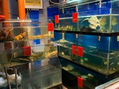 水产区-美味海鲜大排档(明发美食地标店)