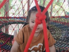 -东方巨龟苑景区