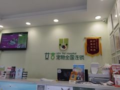 -艾吉宠物医院·疑难杂症转诊中心·猫友好(碧江路院)