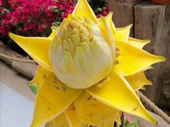 -南通洲际绿博园