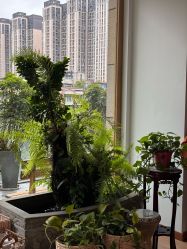 -伽玥瑜伽·普拉提馆