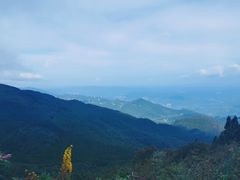 -武陵山森林公园