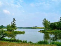 -东郊湿地公园