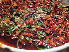 杨记招牌鱼-杨记隆府(时代天街店)