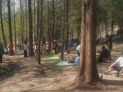-白水寺森林公园