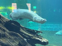 -华夏文旅海洋公园