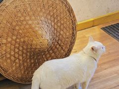 -南枝小馆(银鱼巷店)